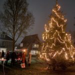 O, Dennenboom!