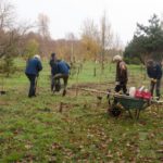 Rotary plantdag 26 november 2022