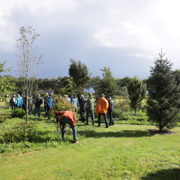 Verslag excursie Arboretum Assen – 12 september 2025