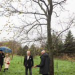 Arboretum Assen bestaat 25 jaar!